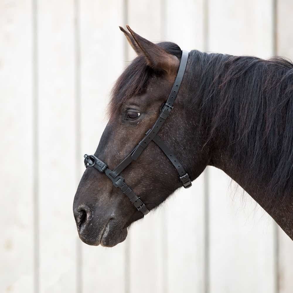 Cavesson Serreta With Nose Iron In Black Picadera